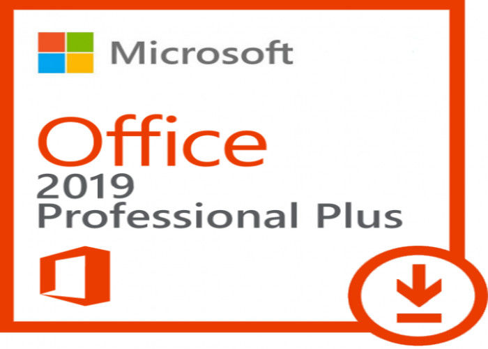 Activated 5 User Unbided Office 2019 Professional Plus 