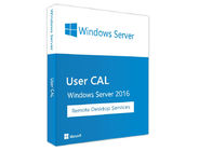 1 User CAL Retail Online Activation Server License Key